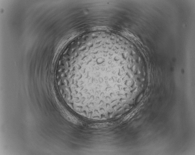X0000075390049200609251228