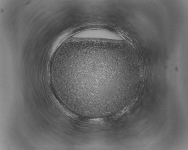 X0000075390053200609251228
