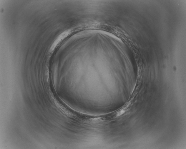 X0000075390054200609251228