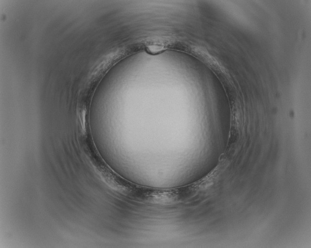 X0000075390070200609251228