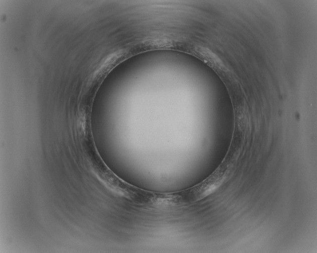 X0000075390072200609251228