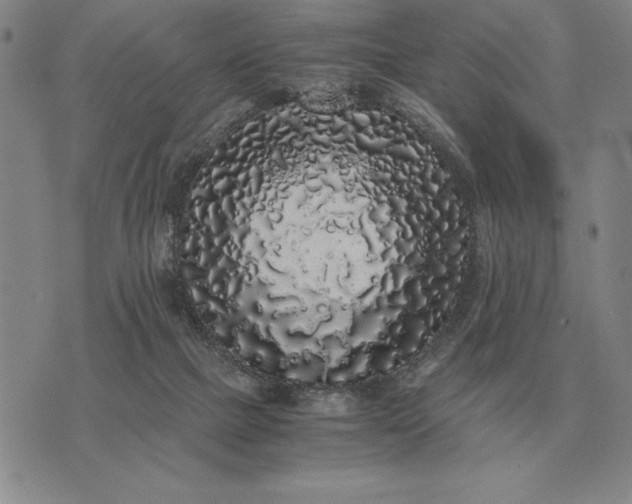 X0000075390073200609251228