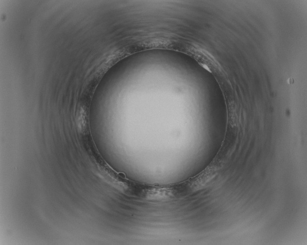 X0000075390077200609251228