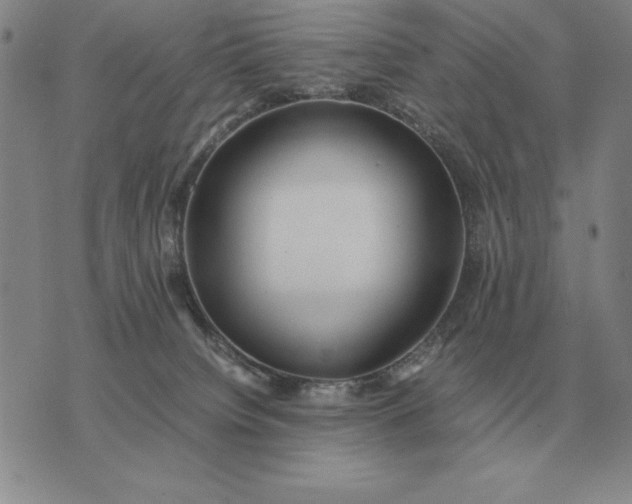 X0000075390084200609251228