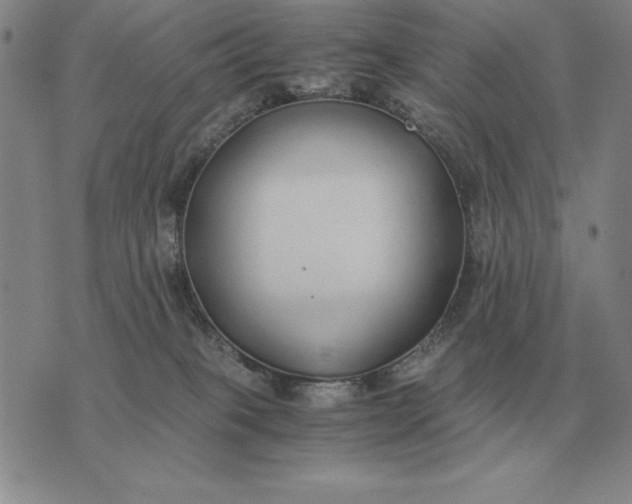 X0000075390085200609251228
