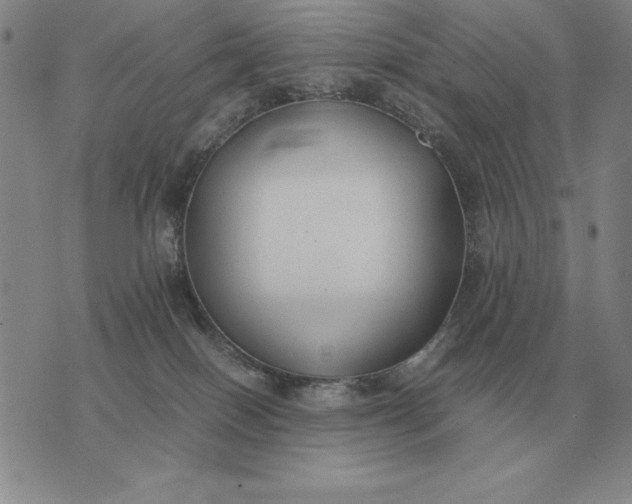 X0000075390086200609251228
