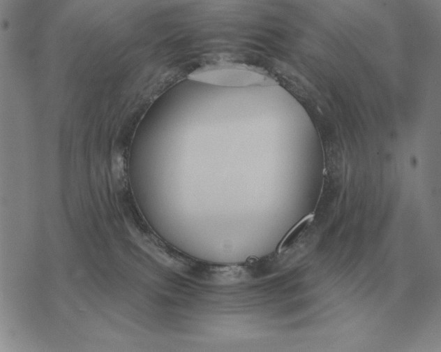 X0000075390087200609251228