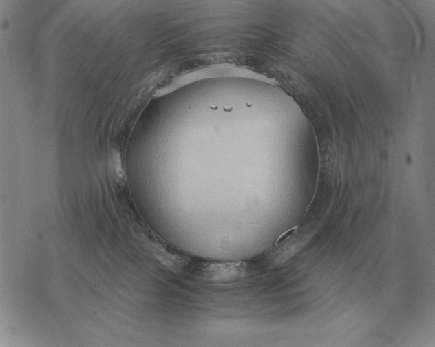 X0000075390089200609251228