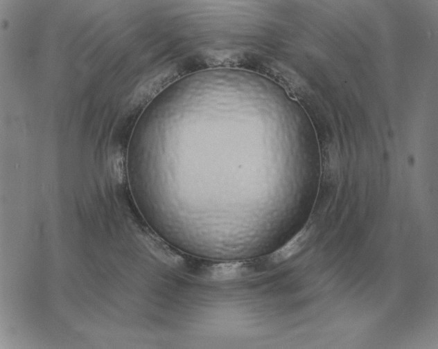 X0000075390090200609251228