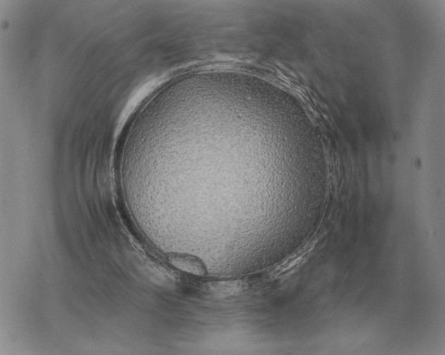 X0000075390102200609251228
