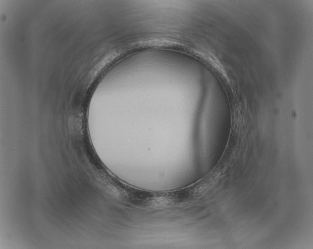 X0000075390111200609251227
