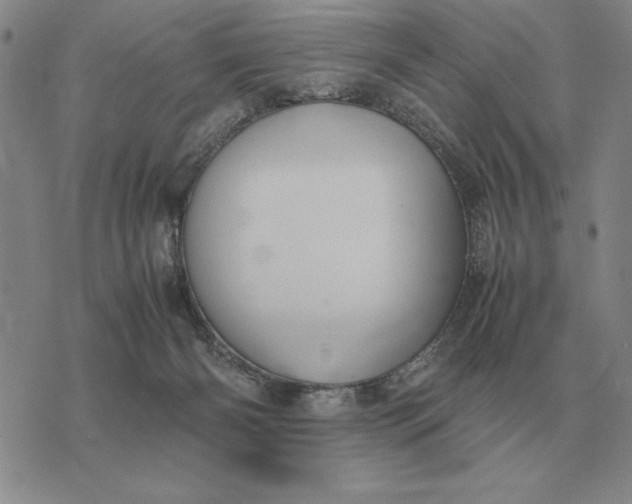 X0000075390126200609251227