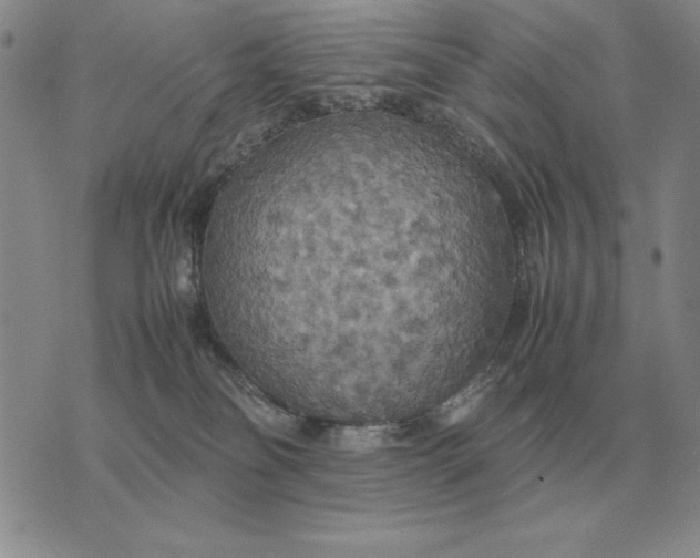 X0000075390134200609251227