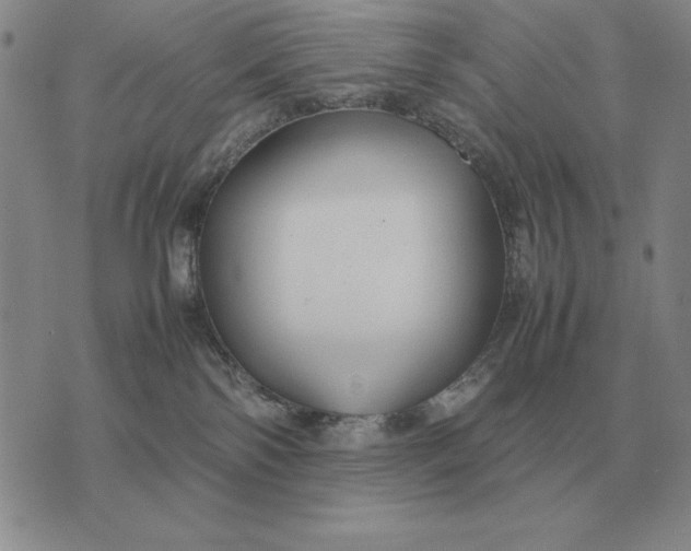 X0000075390138200609251227