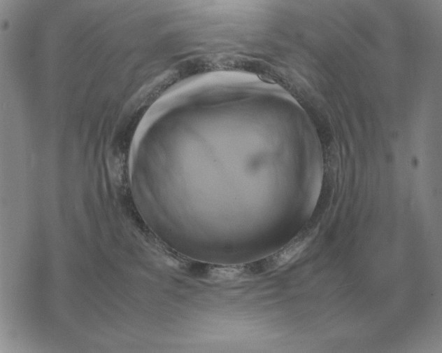 X0000075390139200609251227