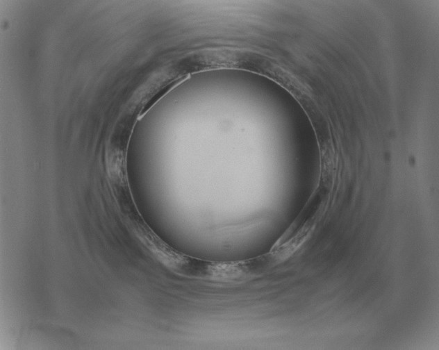 X0000075390141200609251227