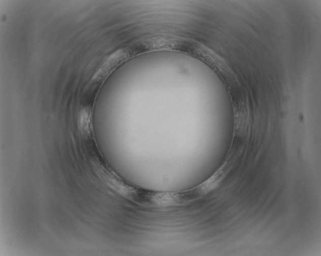 X0000075390142200609251227