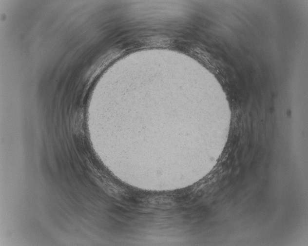 X0000075390146200609251226