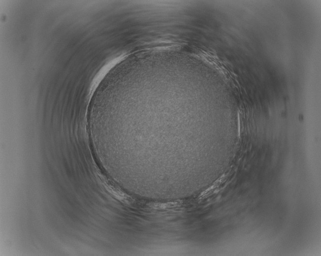 X0000075390147200609251226