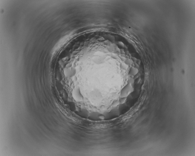 X0000075390149200609251226