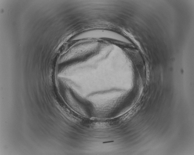X0000075390154200609251226