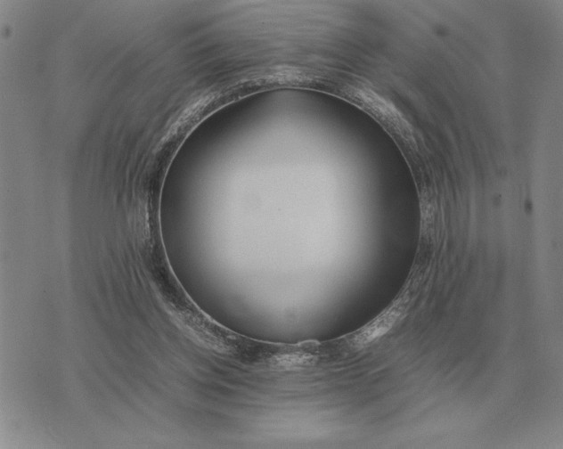 X0000075390158200609251226