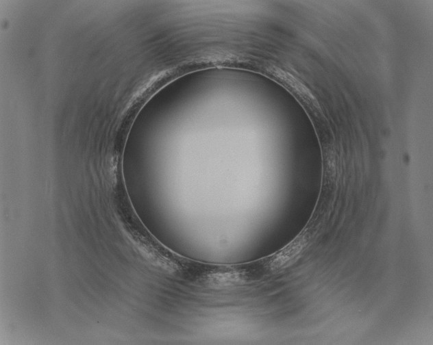 X0000075390160200609251226