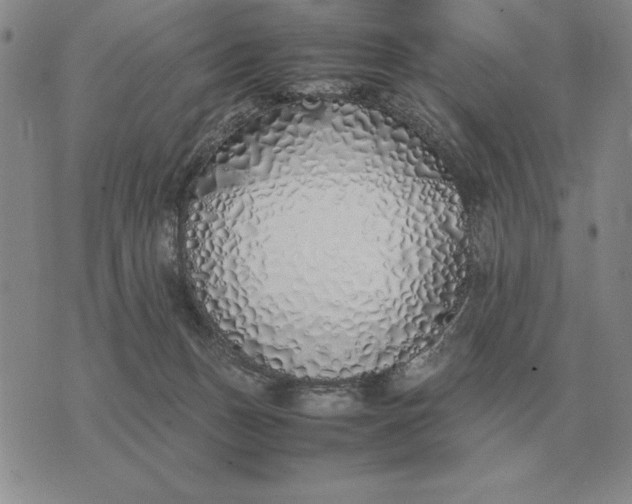 X0000075390175200609251227