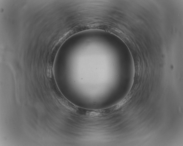 X0000075390180200609251227