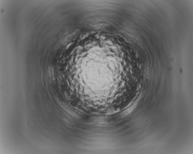 X0000075390182200609251227