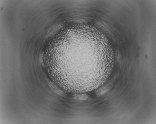 X0000075390185200609251227