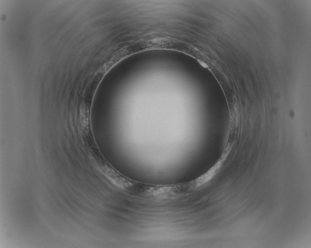 X0000075390186200609251227