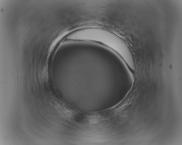 X0000075390200200609251226