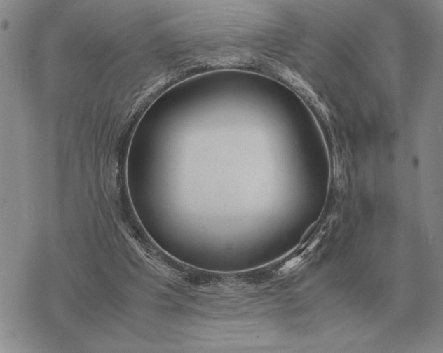 X0000075390201200609251226