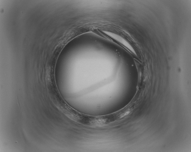 X0000075390217200609251226