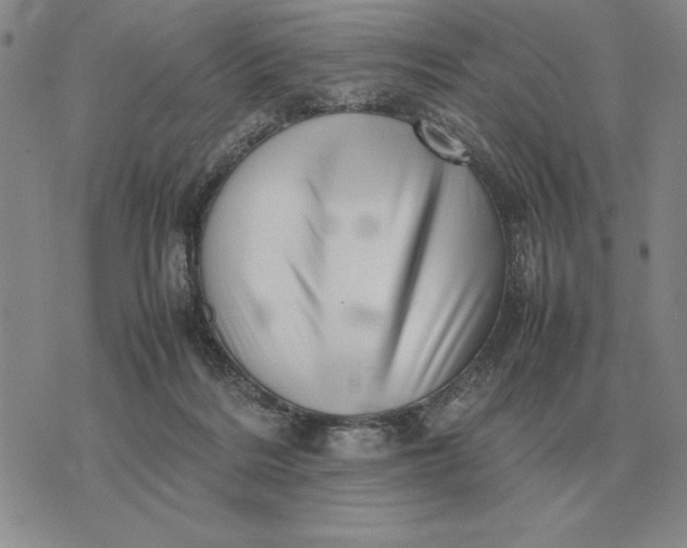 X0000075390220200609251226