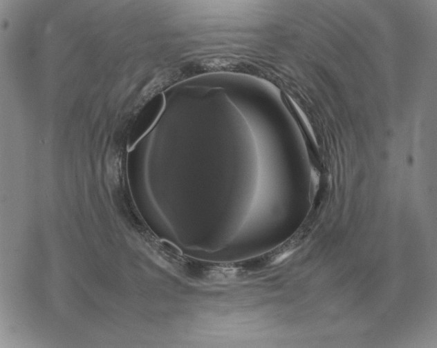 X0000075390227200609251226