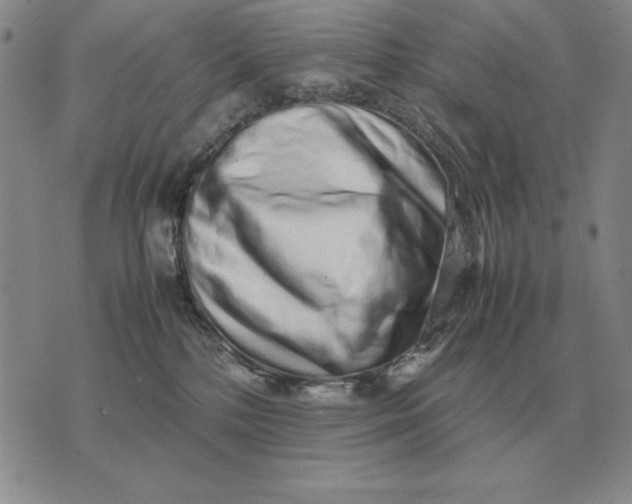 X0000075390232200609251225