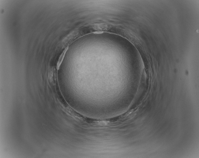 X0000075390233200609251225