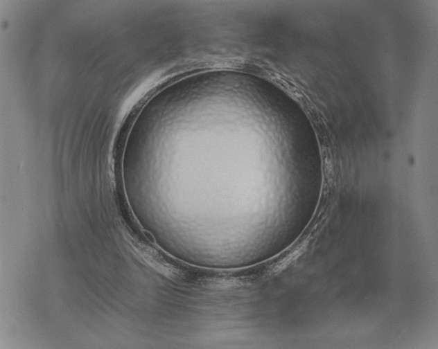 X0000075390246200609251225