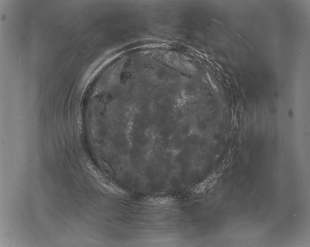 X0000075390247200609251225