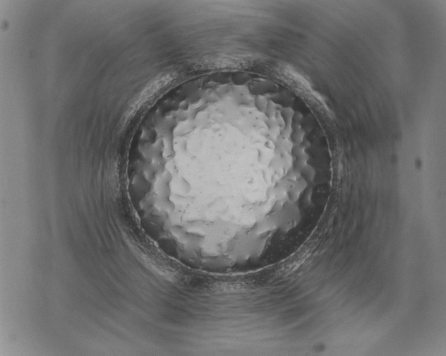 X0000075390250200609251225