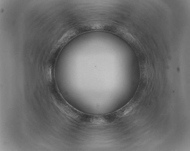 X0000075390262200609251225