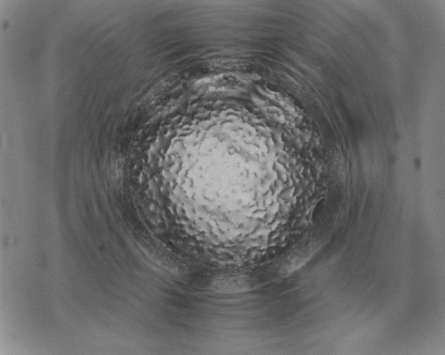X0000075390271200609251225