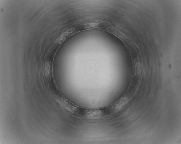 X0000075390274200609251225