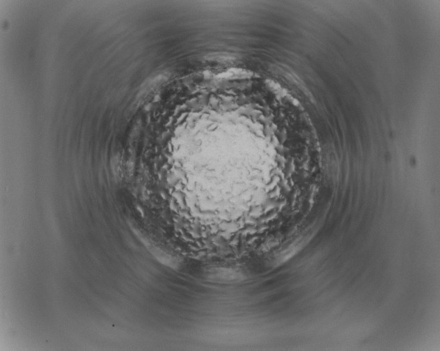 X0000075390285200609251225