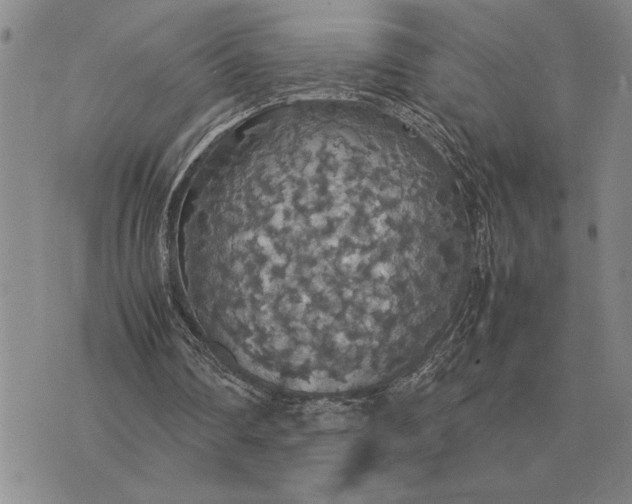 X0000075390290200609251225
