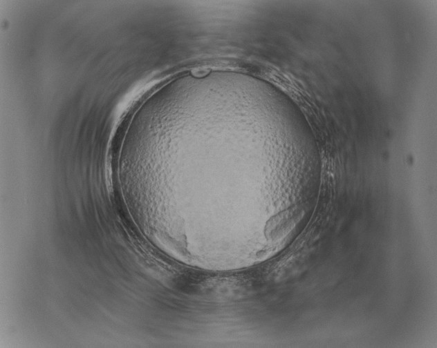 X0000075390294200609251224
