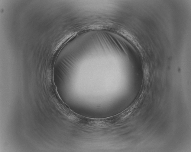 X0000075390297200609251224