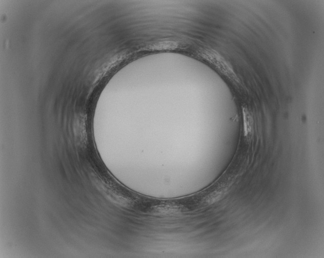 X0000075390300200609251224